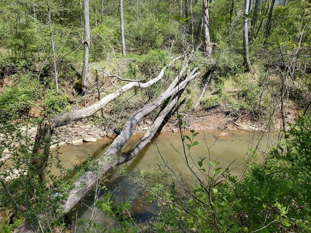 Blackwater Creek Natural Area
